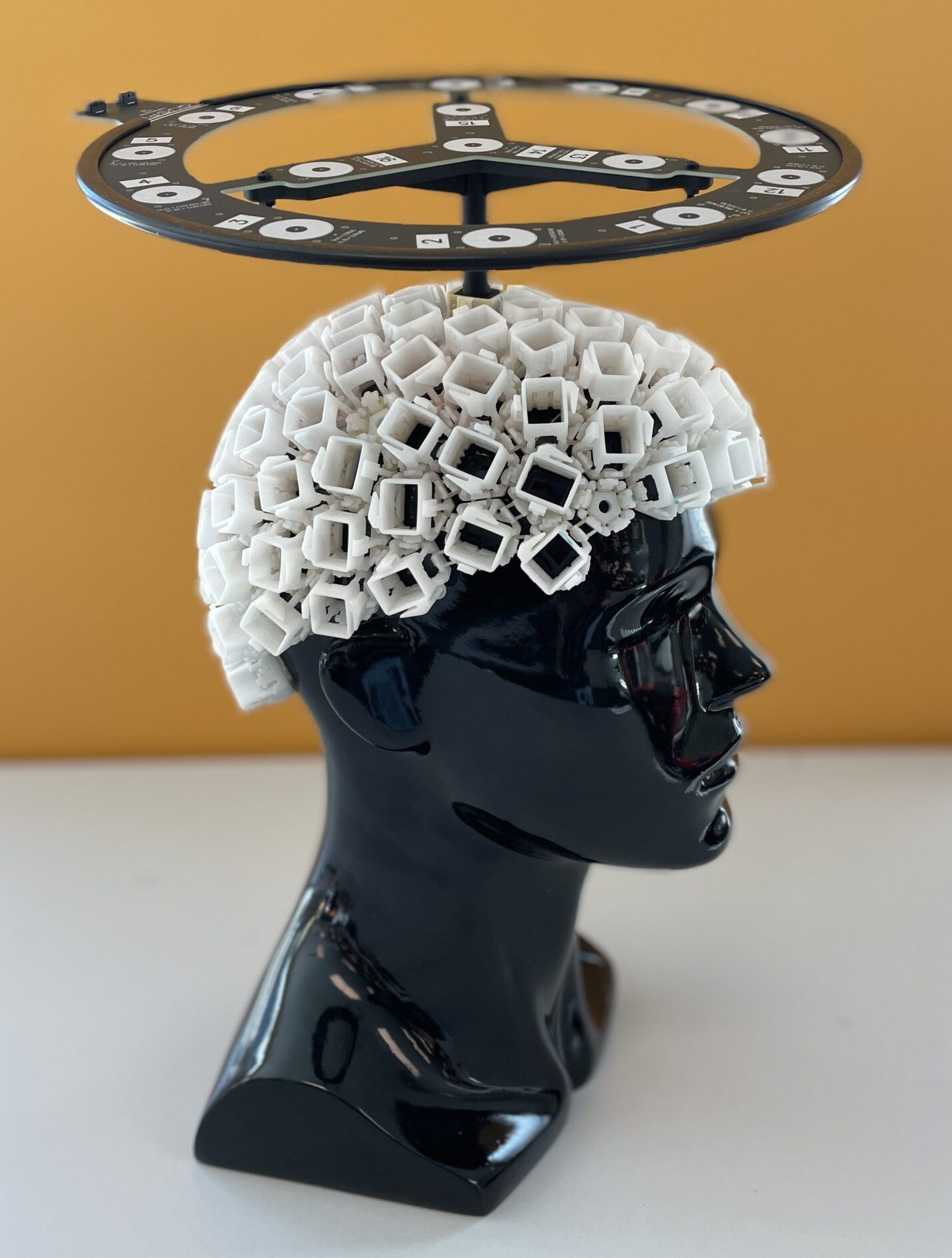 HALO device positioned on a subject's head