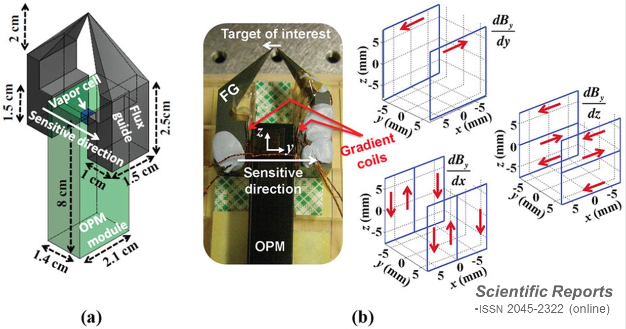 Magnetic microscope demonstration using a QZFM sensor and ferrite flux guide