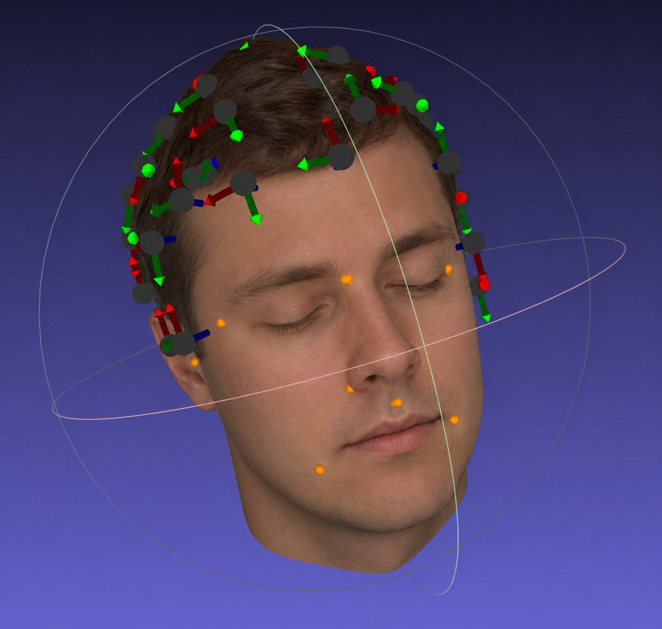 Combined HCF visualization showing subject 3D model, localized sensors, and HALO Pen fiducial points