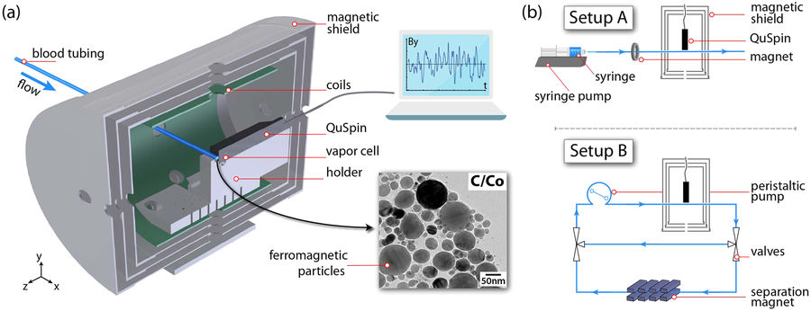 Trace Detection of Magnetic Nanoparticles in Complex Fluids using QZFM