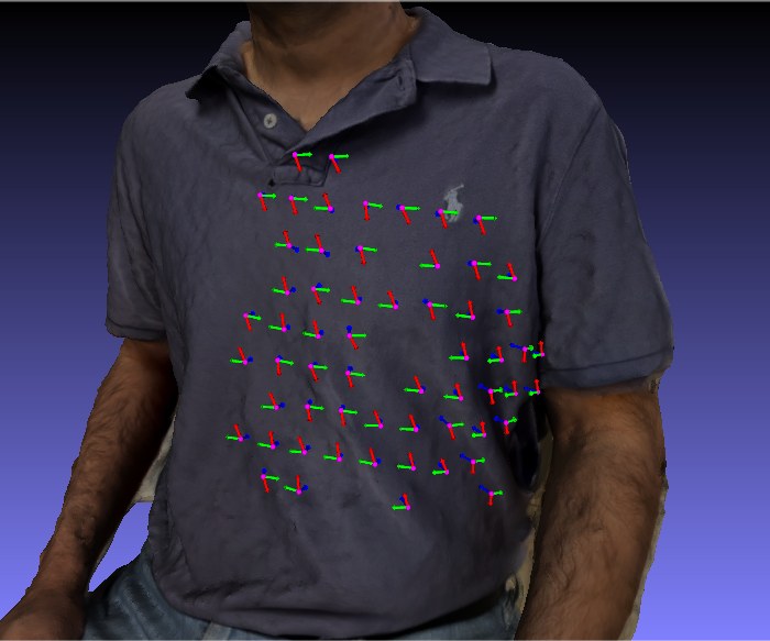 3D model of the volunteer's torso with solved sensor positions and orientation axes overlaid on the chest