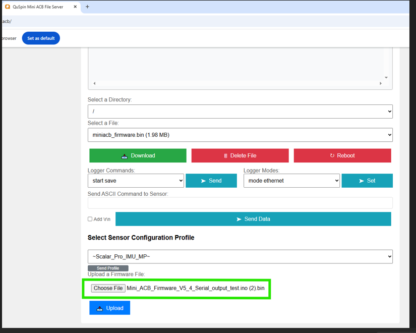 Magpie web UI Upload a Firmware File section with the .bin file selected via Choose File