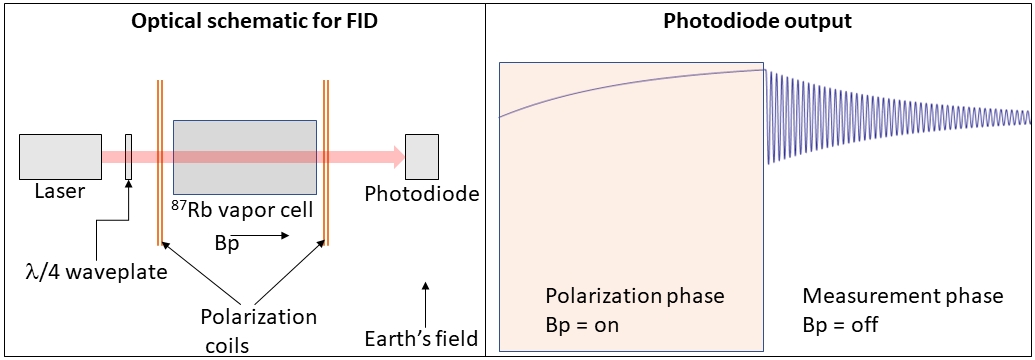 Free Induction Decay magnetometer schematic alongside the photodiode output versus time